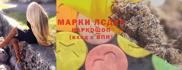 стаф Майский