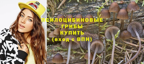 стаф Майский